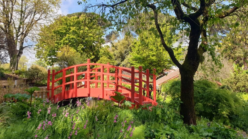 Balade au jardin botanique de Bayonne